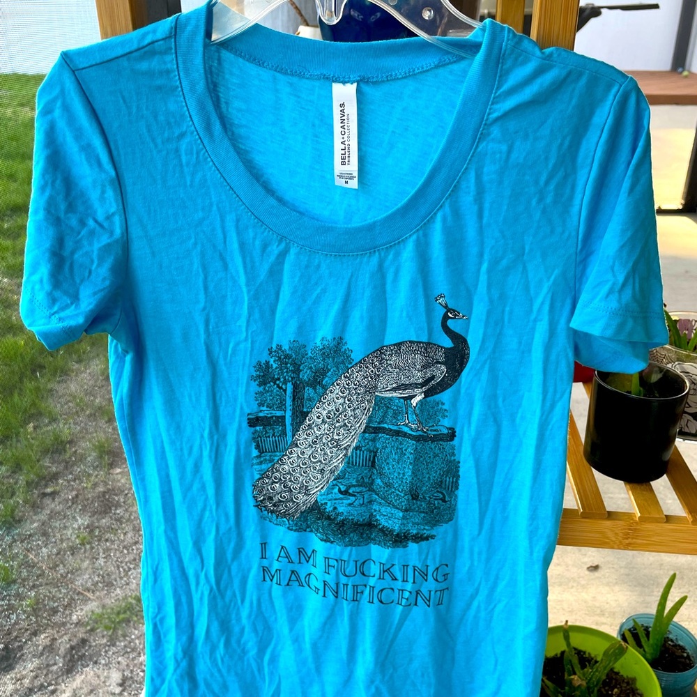 🦚Peacock Bella+Canvas Tee, “I am fucking magnificent”, Blue, Size Med, NWOT